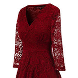 EvoLand Women's Lace Cocktail Evening Party Dress