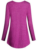 SeSe Code Women's Casual Long Sleeve Crew Neck Form Fitting Velvet Vintage Tunic Top(FBA)