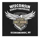 Harley-Davidson Men's 115th Anniversary Insignia Short Sleeve T-Shirt, Black