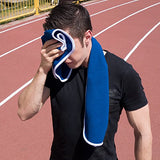 Fitness Gym Towels (2 Pack) for Workout, Sports and Exercise - Soft, Lightweight, Absorbent, Quick-drying, Odor-free, Machine-washable