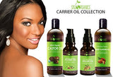 Organic Castor Oil By Sky Organics 16oz: Cold-Pressed, 100% Pure, Hexane-Free Castor Oil - Moisturizing & Healing, For Dry Skin, Hair Growth - For Skin, Hair Care, Eyelashes - Caster Oil