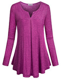 SeSe Code Women's Casual Long Sleeve Crew Neck Form Fitting Velvet Vintage Tunic Top(FBA)